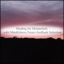 Mindfulness Neuro Feedback Selection - Spinoza & Communication