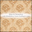 Mindfulness Neuro Feedback Center - Poincare & Detox (Original Mix)