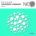 P U L S A R - Janssen