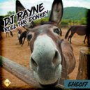DJ Rayne - Roll The Donkey