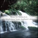 Mindfulness Neuro Feedback Laboratory - Delacroix & Mental Stability