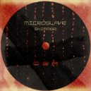 Microslave - Prep