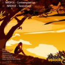 NRDFCE - Testament (Original Mix)