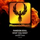 Random Soul - What You Want