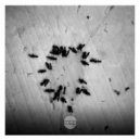 Nipo - Aeolico