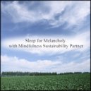 Mindfulness Sustainability Partner - Comprehension Ability & Mental Stability (Original Mix)