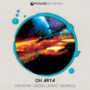 Oh Arya - Spaceship Undercurrent