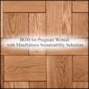 Mindfulness Sustainability Selection - Magnetism & Mindfulness
