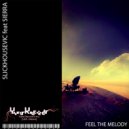 Slickhousevic feat Sierra - Feel The Melody (Slickhousevic Remix)