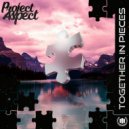 ProJect Aspect - Sore For Sight Eyes