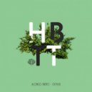 Alonso Bierg - 512 (Music)