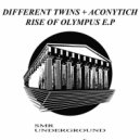 Different Twins & Aconytich - Silence