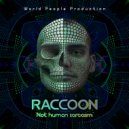 Raccoon - Not Human Sarcasm (Original mix)
