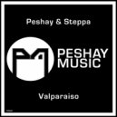 Peshay, Steppa - Valparaiso