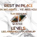 Avicii - Levels