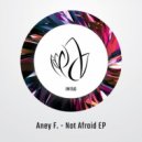 Aney F. - Disco Lights
