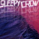 Sleepy Crow - Dizzy on the Way Down