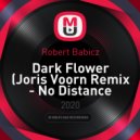 Robert Babicz - Dark Flower