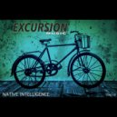 Native Intelligence - Integral Displacement