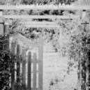 Upbeat Morning Music - Joyful Sounds for Studying ()
