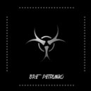 FanEOne - Bre Petrunko (Original Mix)