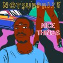 notsurprize - Nice Things