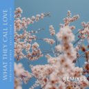 Ferdinand Weber, Fabich, Kelli-Leigh - What They Call Love