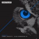 Tommy Vercetti - Blue Submarine