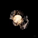 Maicol MP, Riggel - Three Dimensional Movement
