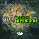 Cubba Jr. - Waiting 4 Mushroom