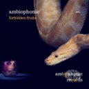 Ambiophonic - Space Frogs