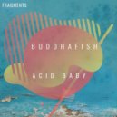 Buddhafish - The Gift