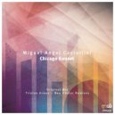 Miguel Angel Castellini - Chicago Sunset