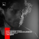 Sian - Hardware