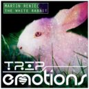 Martin Reniec - Metacortex (Original Mix)