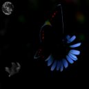To!o - Tropicana (Original Mix)