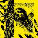 Zoo Brazil - Outputs