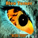 Alex Turner - Determination ()