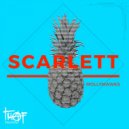SCARLETT(UK) - Mollymawks