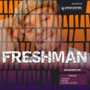 Freshman - Illusive Guitar (Original Mix)
