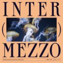 Intermezzo - The Gathering