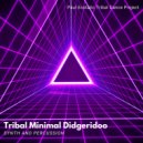 Paul Ecstatic Tribal Dance Project - Tribal Minimal Didgeridoo (Synth And Percussion)