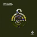 David Leckenby - Coalesce