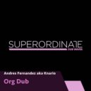 Andres Fernandez Aka Knario - The Continues