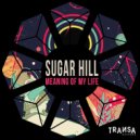 Sugar Hill - Meaning of my Life