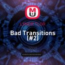 LXNDR TYLR - Bad Transitions