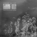 Vintage Culture - Slowing Down