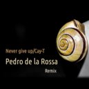 Pedro de la Rossa - Never Give Up