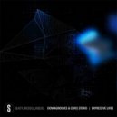 Chris Sterio & Downgrooves - Expressive Lives (Evotone Remix)