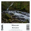 Ninjury - Trumpet King (Radio Mix 3)